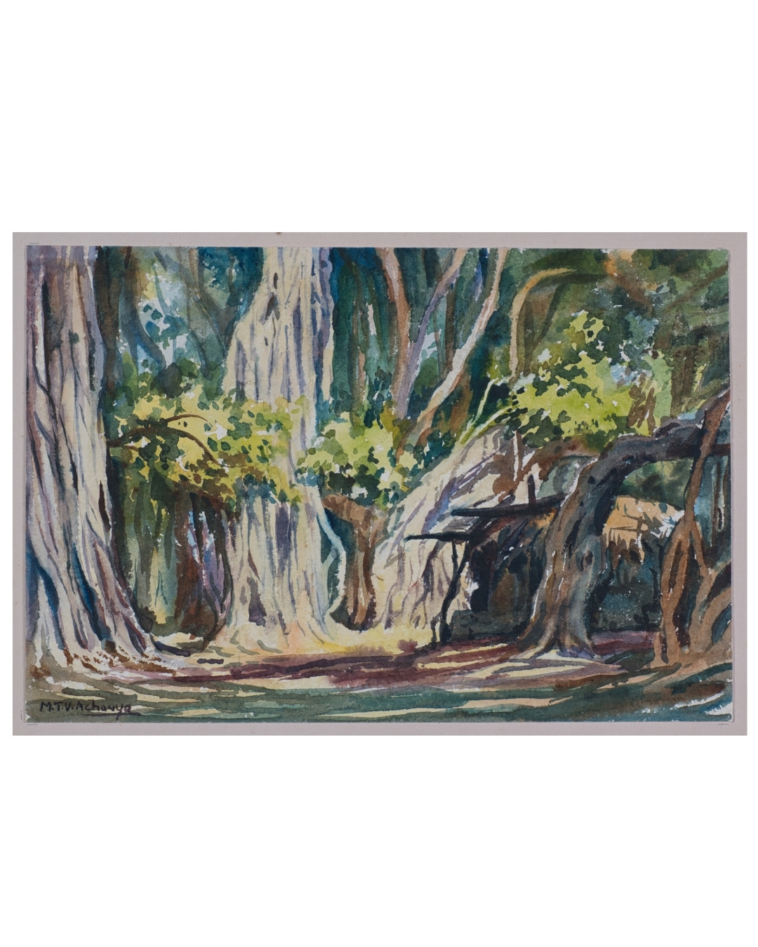 Botanical Landscape Study